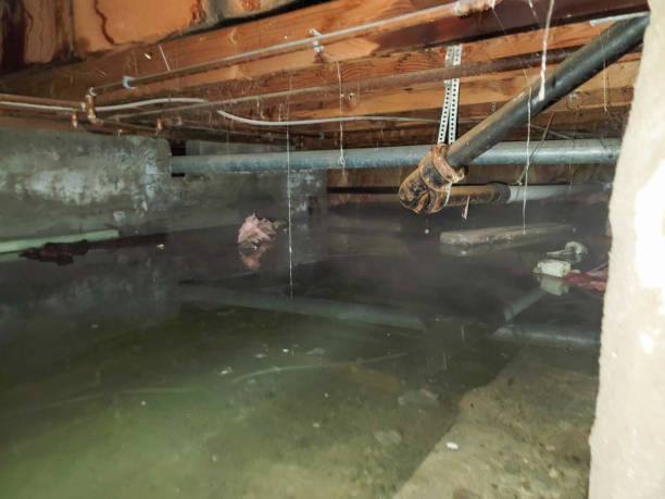 Best Water damage restoration services  in USA